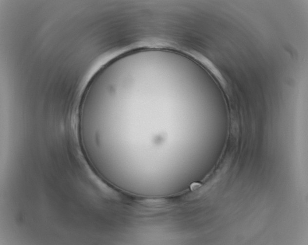 X0000113271343200910011420