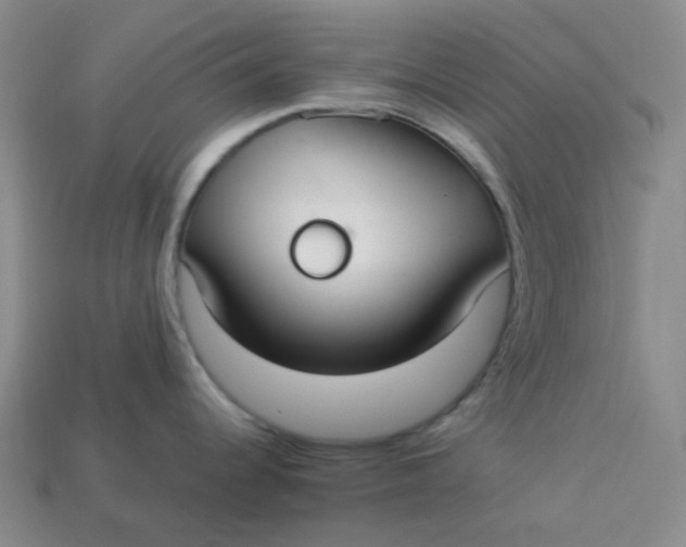 X0000113271344200910011420