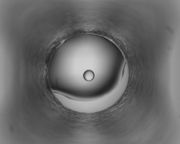 X0000113271349200910011419