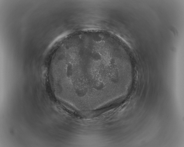 X0000113271351200910011419