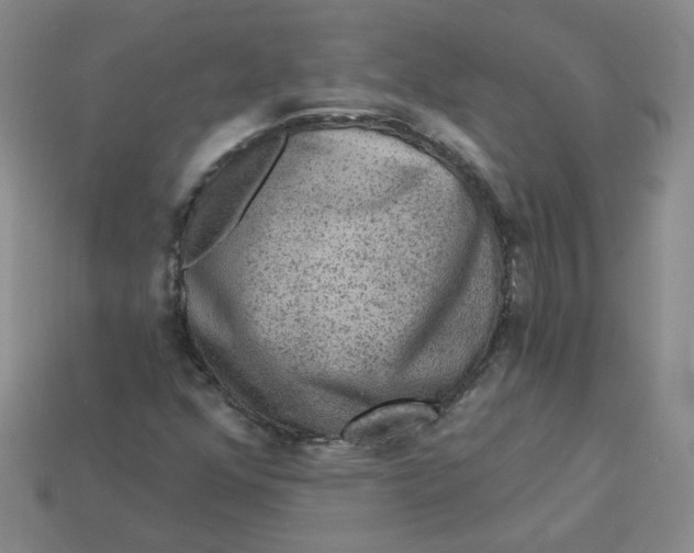 X0000113271352200910011419