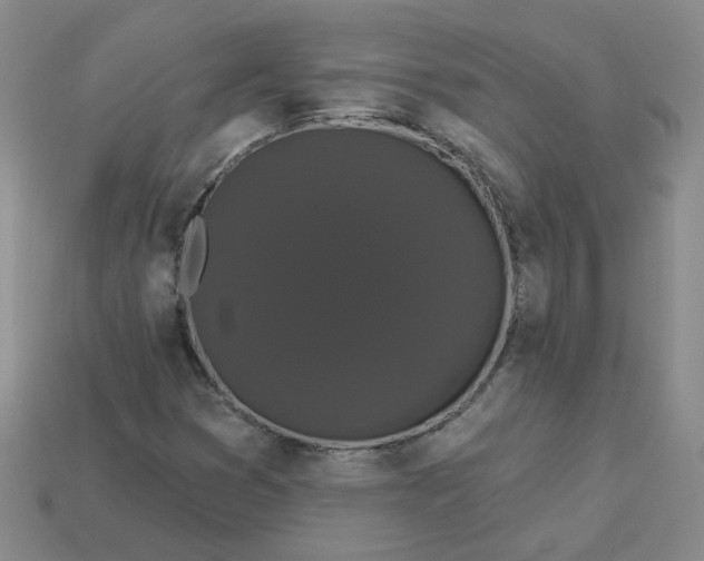 X0000113271353200910011419