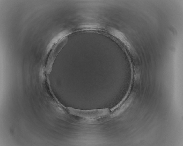 X0000113271357200910011419