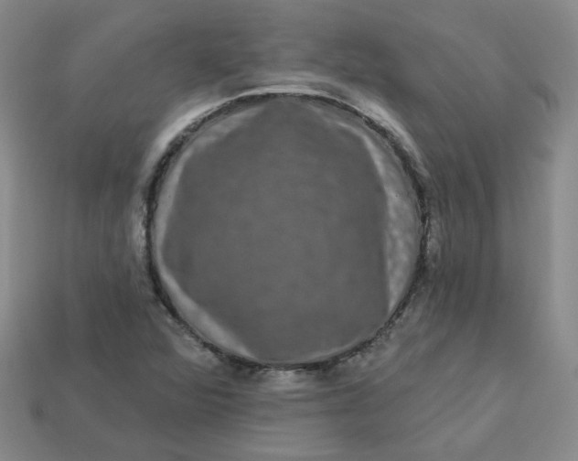 X0000113271360200910011419