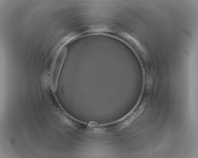 X0000113271361200910011419