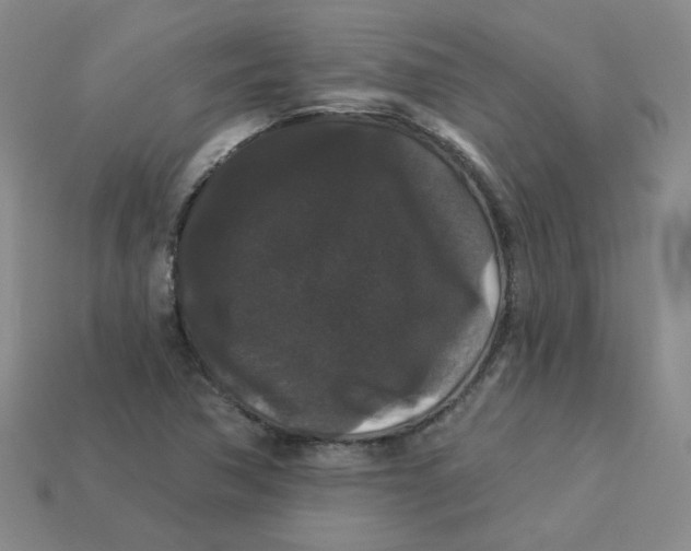 X0000113271362200910011419