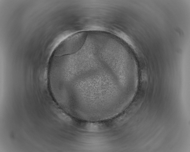 X0000113271364200910011419