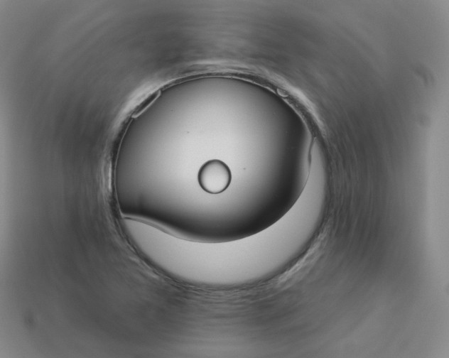 X0000113271365200910011419