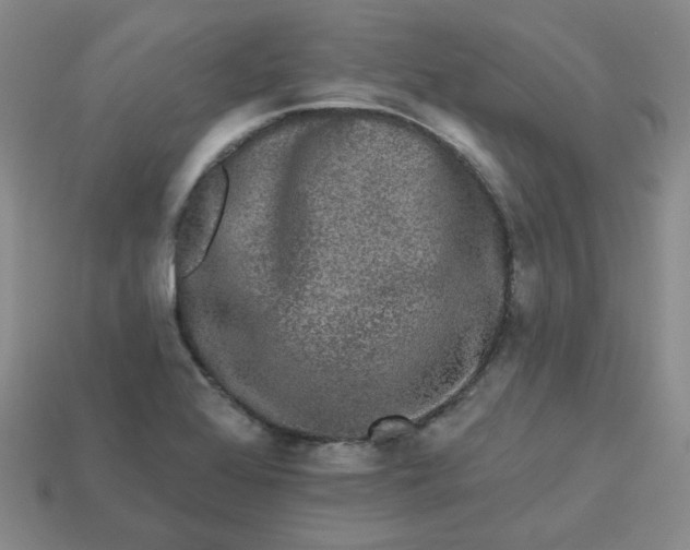 X0000113271368200910011419