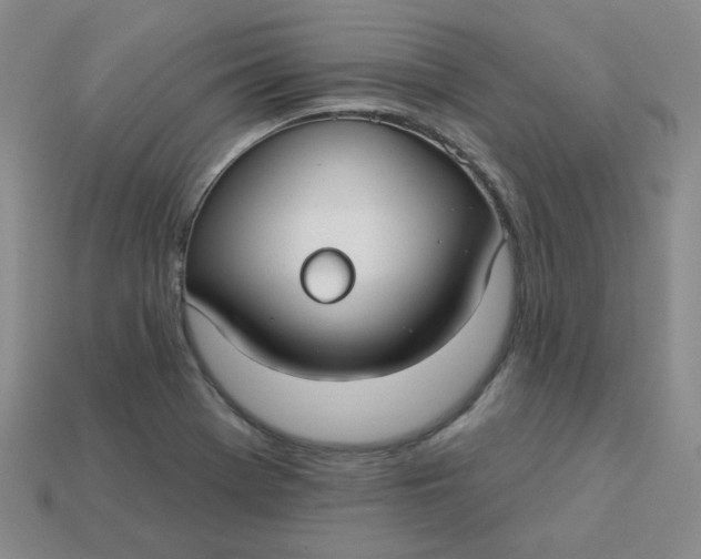 X0000113271369200910011419