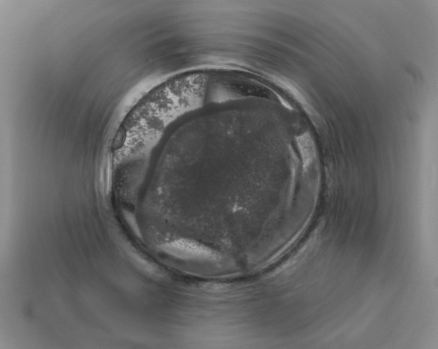 X0000113271371200910011419