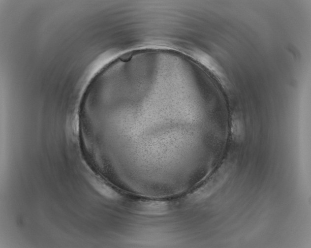 X0000113271372200910011419