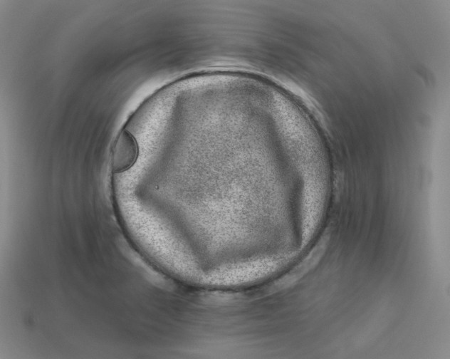 X0000113271374200910011419