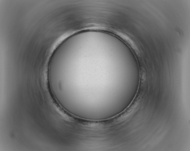 X0000113271375200910011419