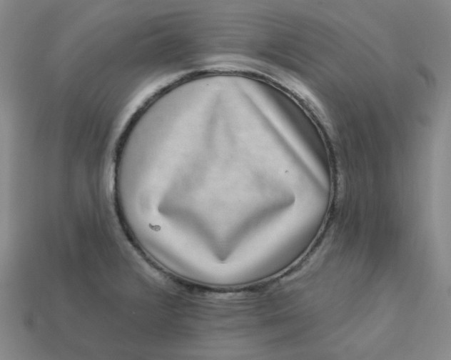 X0000113271376200910011419