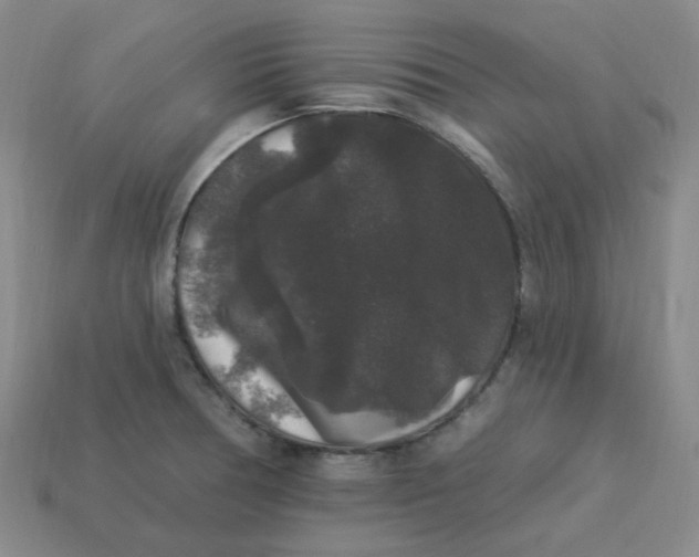 X0000113271378200910011419