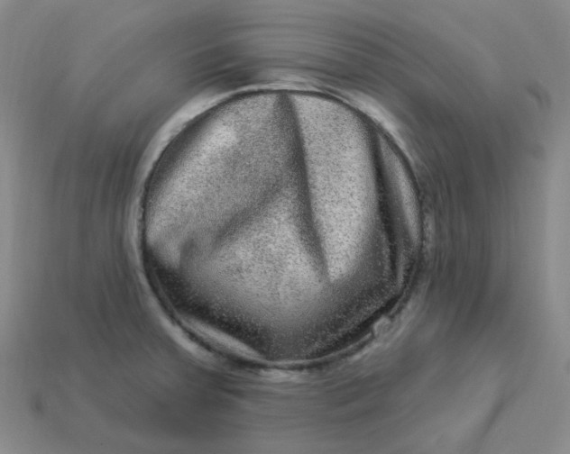 X0000113271379200910011419