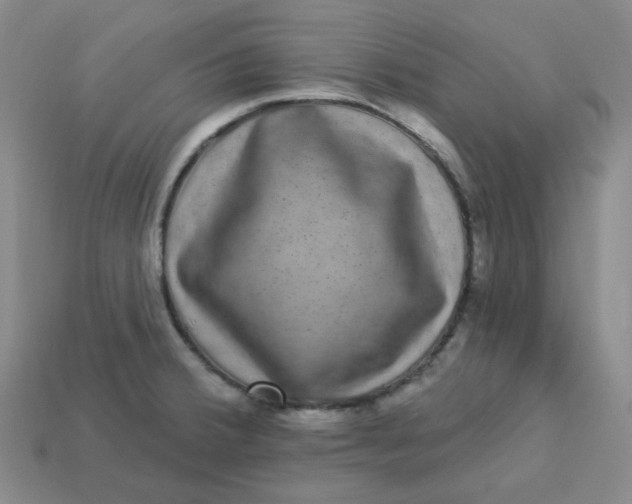 X0000113271380200910011419