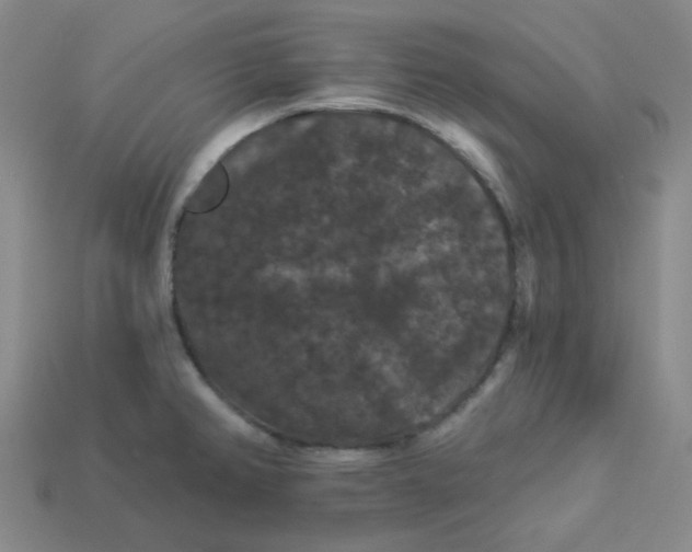 X0000113271382200910011419