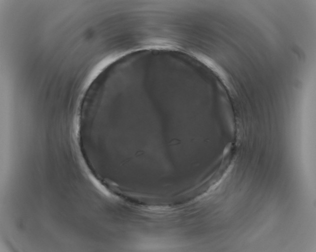 X0000113271383200910011419