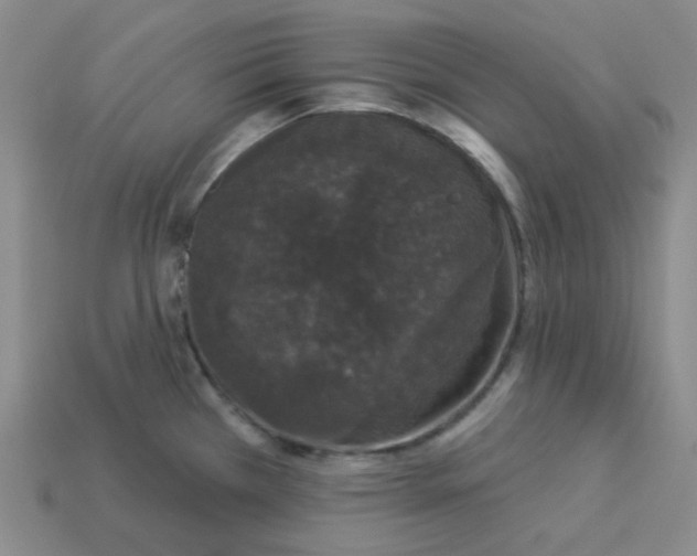 X0000113271385200910011419