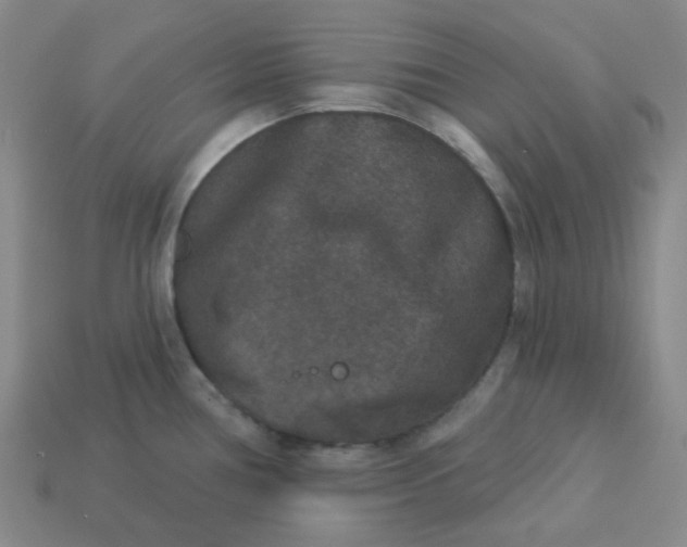 X0000113271386200910011419