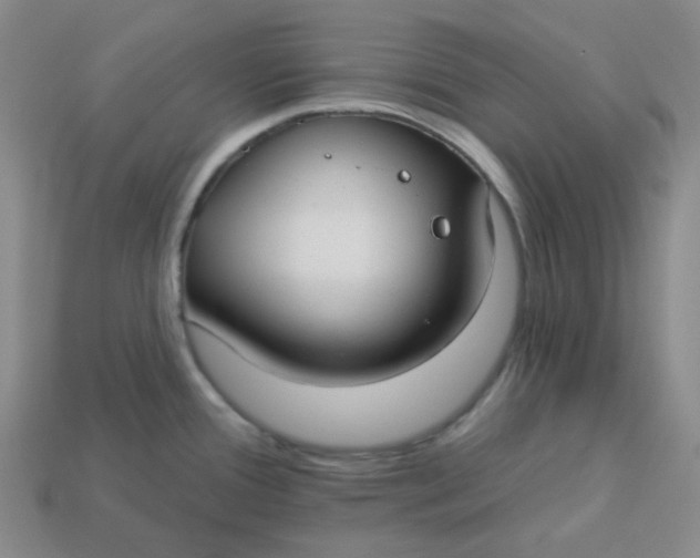 X0000113271388200910011419