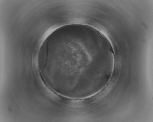 X0000113271389200910011419