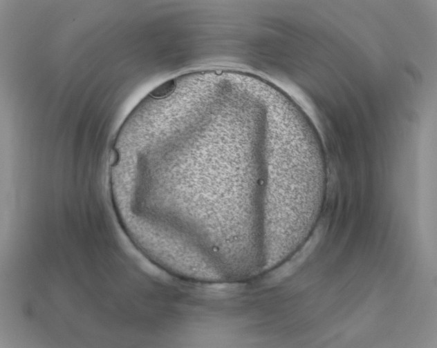 X0000113271390200910011419