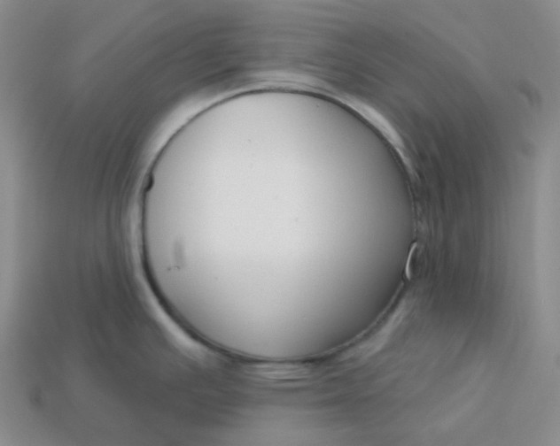 X0000113271391200910011419