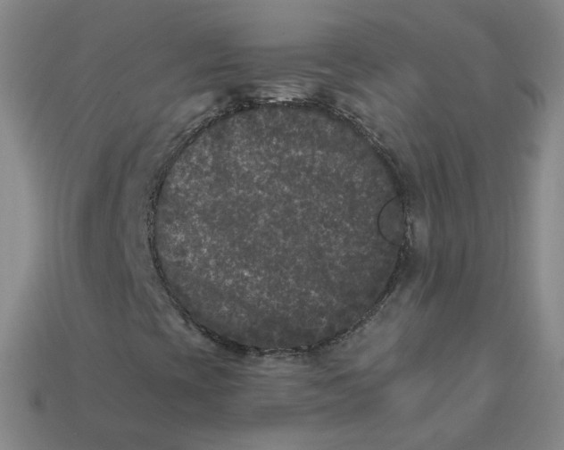 X0000113271393200910011418