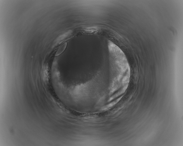 X0000113271394200910011418