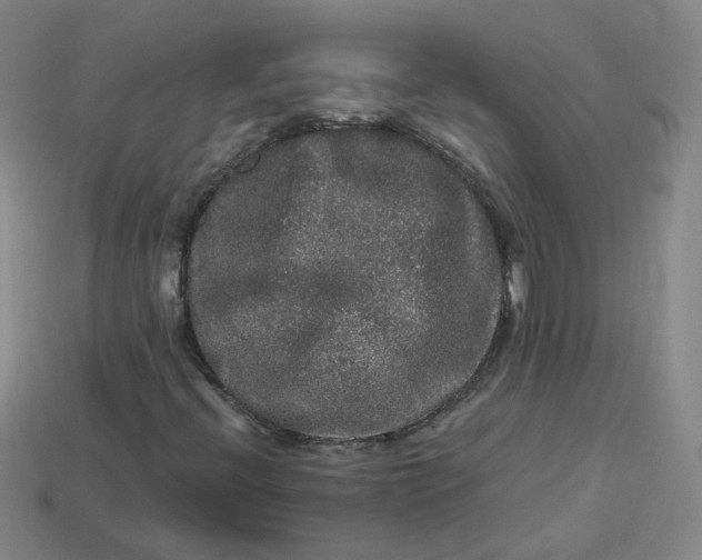 X0000113271396200910011418