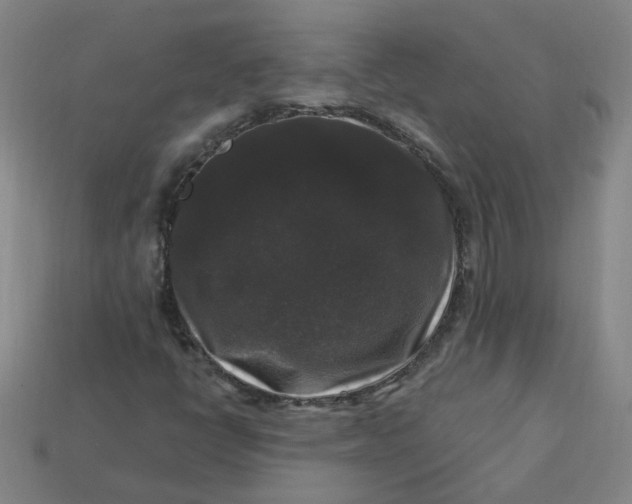 X0000113271398200910011418