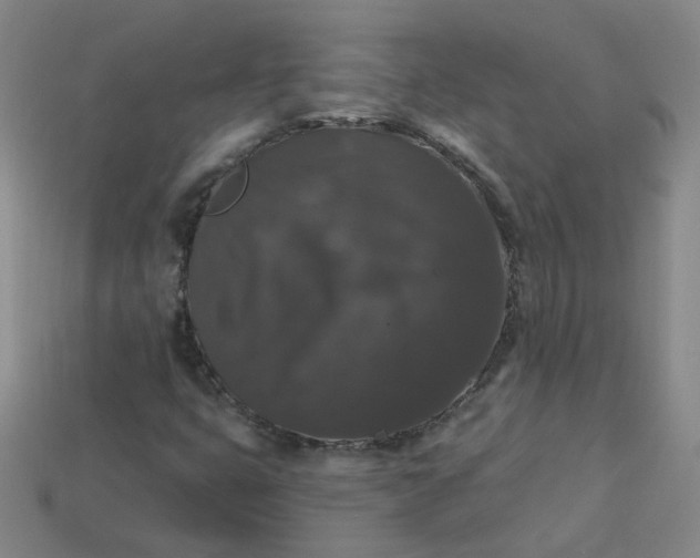 X0000113271399200910011418