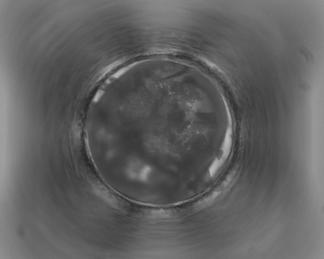 X0000113271401200910011418