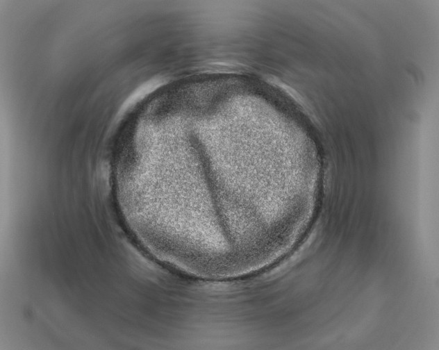 X0000113271402200910011418