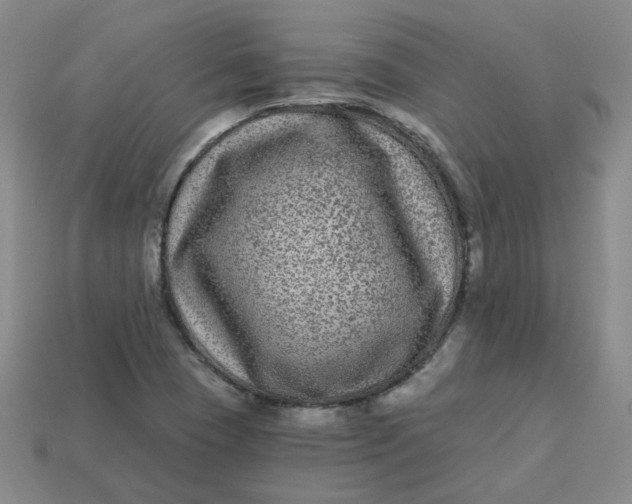 X0000113271409200910011418