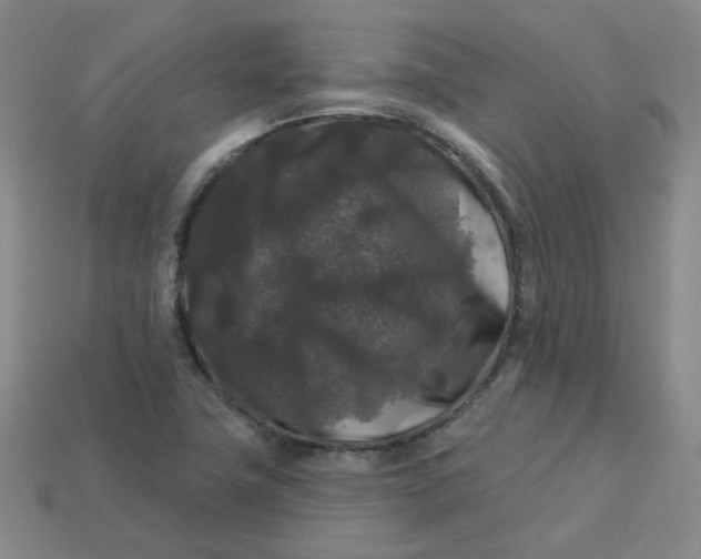 X0000113271411200910011419