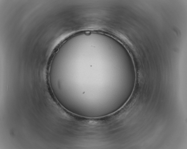 X0000113271412200910011419