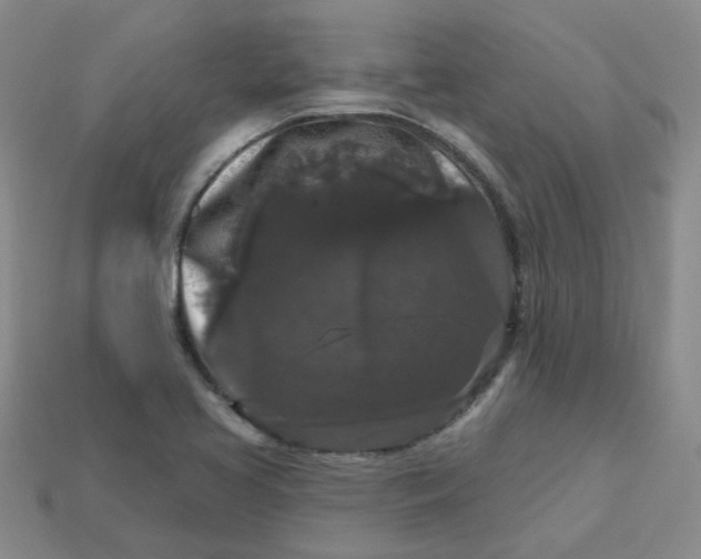 X0000113271413200910011419