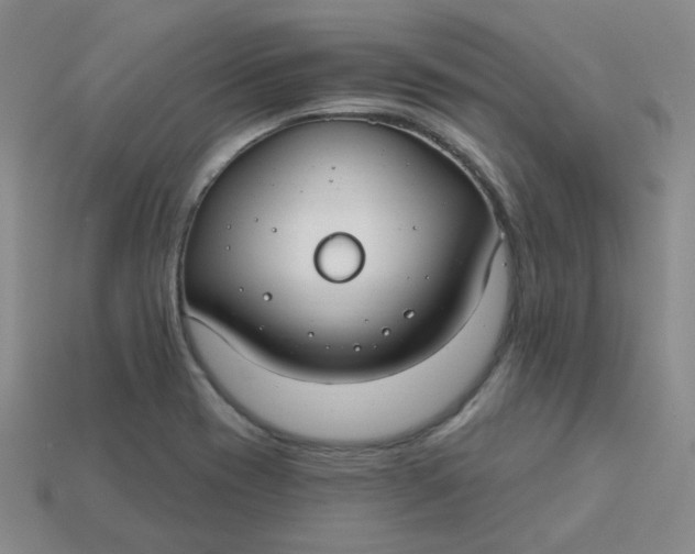 X0000113271417200910011419