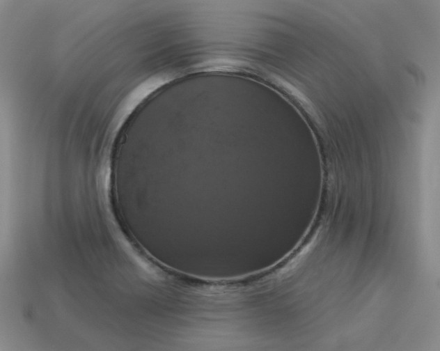 X0000113271418200910011419