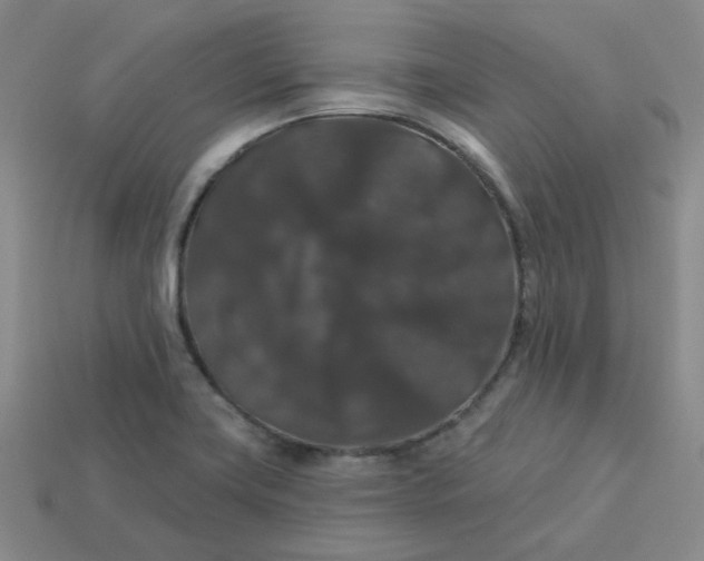 X0000113271419200910011419