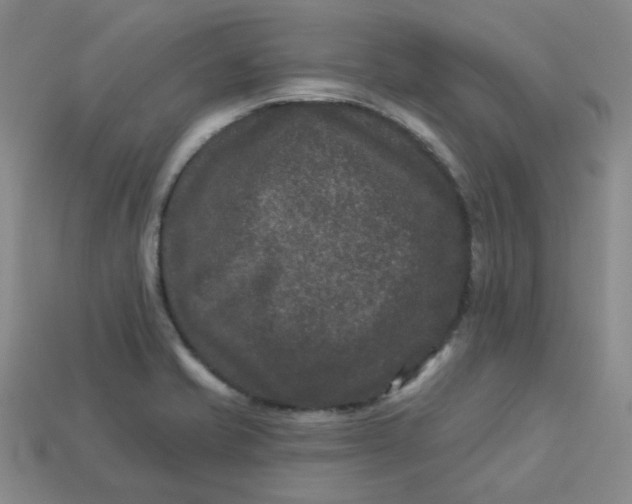 X0000113271421200910011419