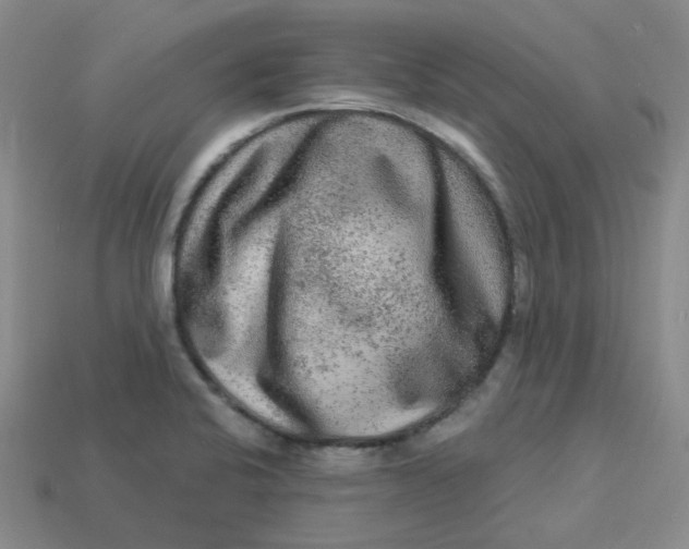 X0000113271424200910011419