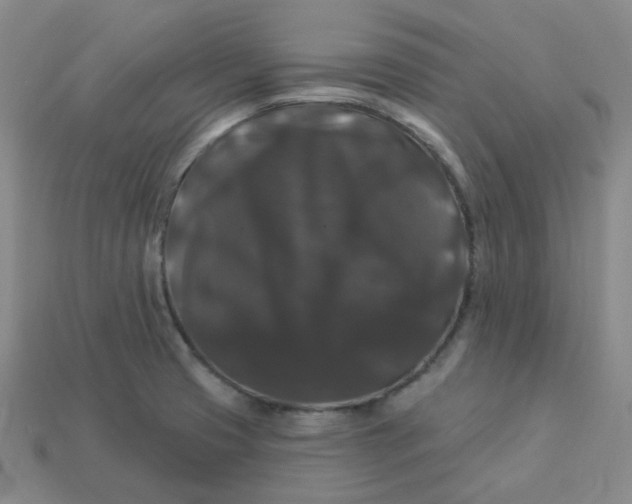 X0000113271425200910011419