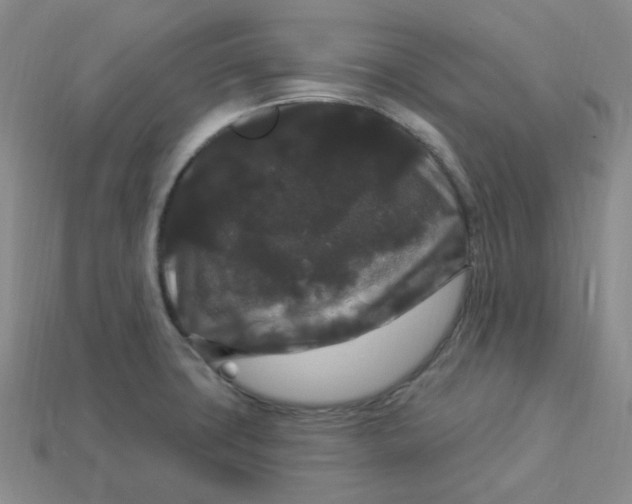 X0000113271427200910011419