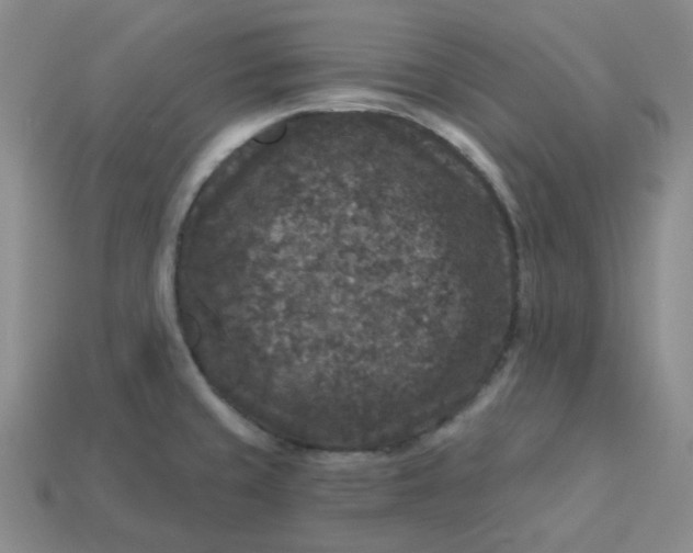 X0000113271429200910011419