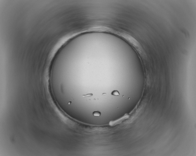 X0000113271430200910011419